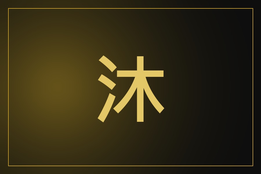 QUIS 沐